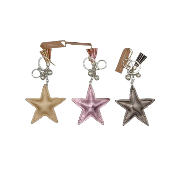 AY379 star keyring