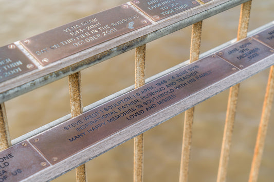 Plaque Large 300 x 50mm