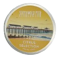 Southwold Pier Travel Tin Sweets Citrus Selection 200g